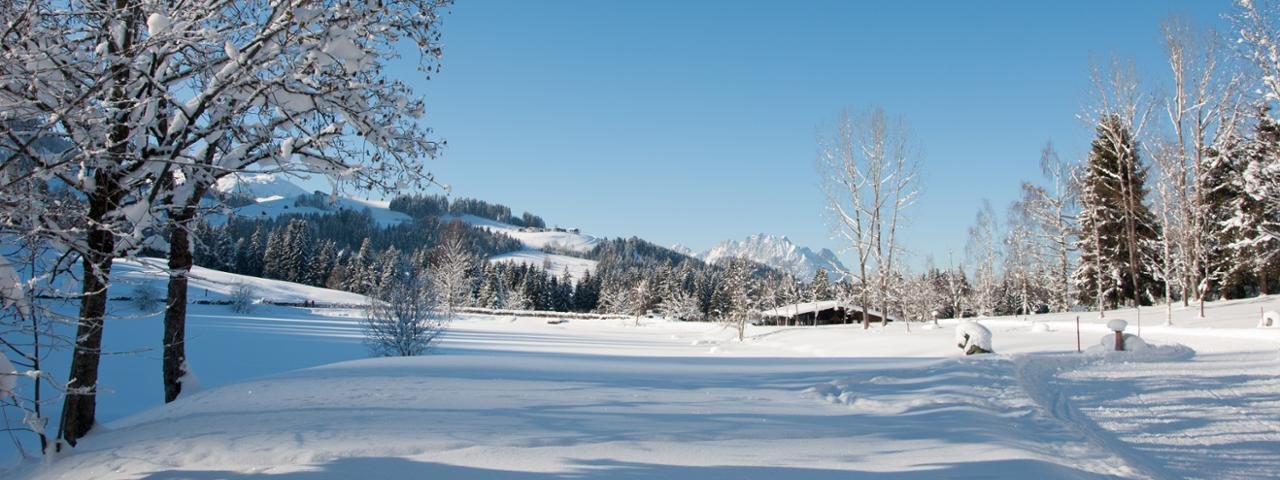 Lauchsee, © Petra Astner