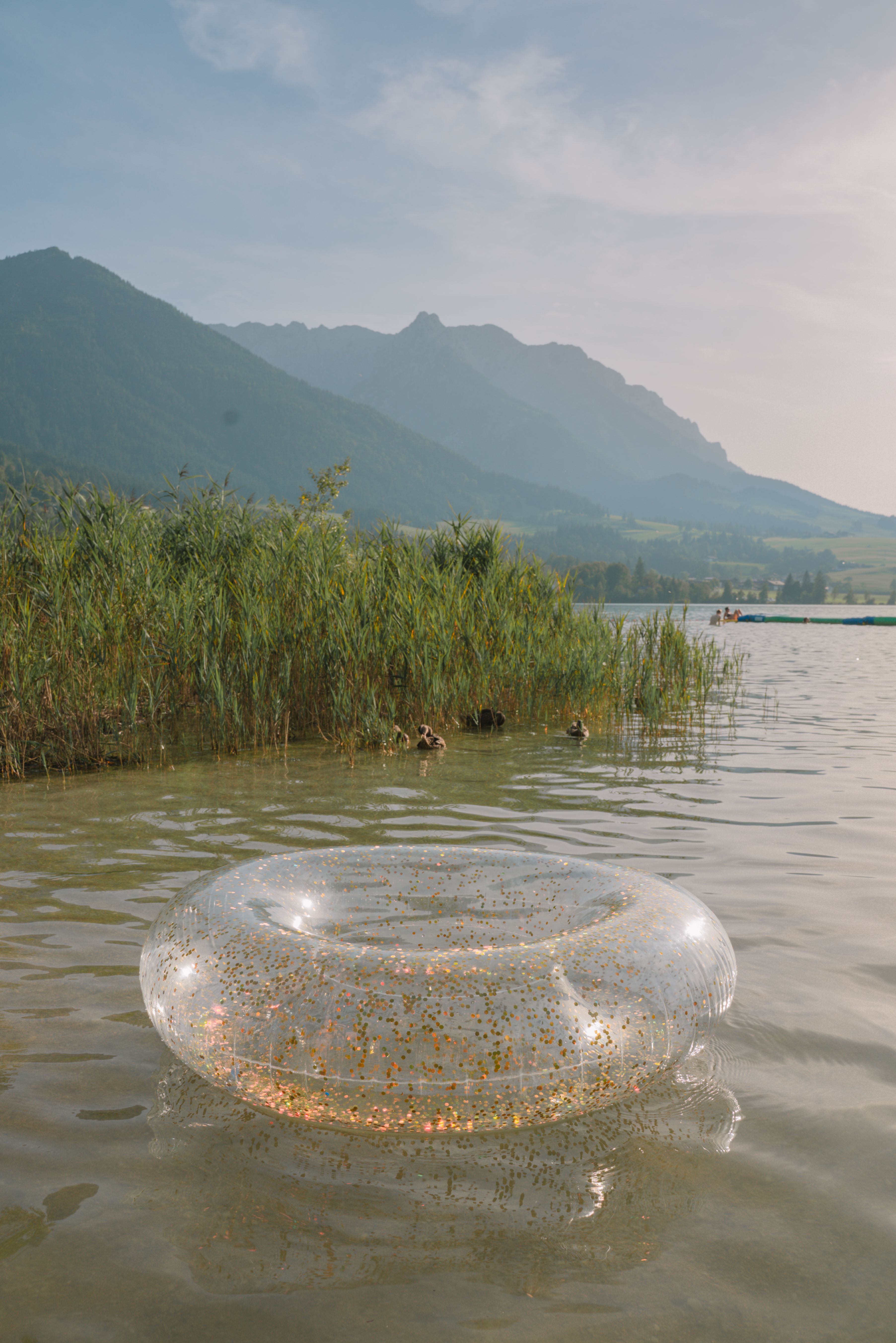 glitzernder Schwimmreifen im Wasser nahe des schilfbewachsenen Ufers