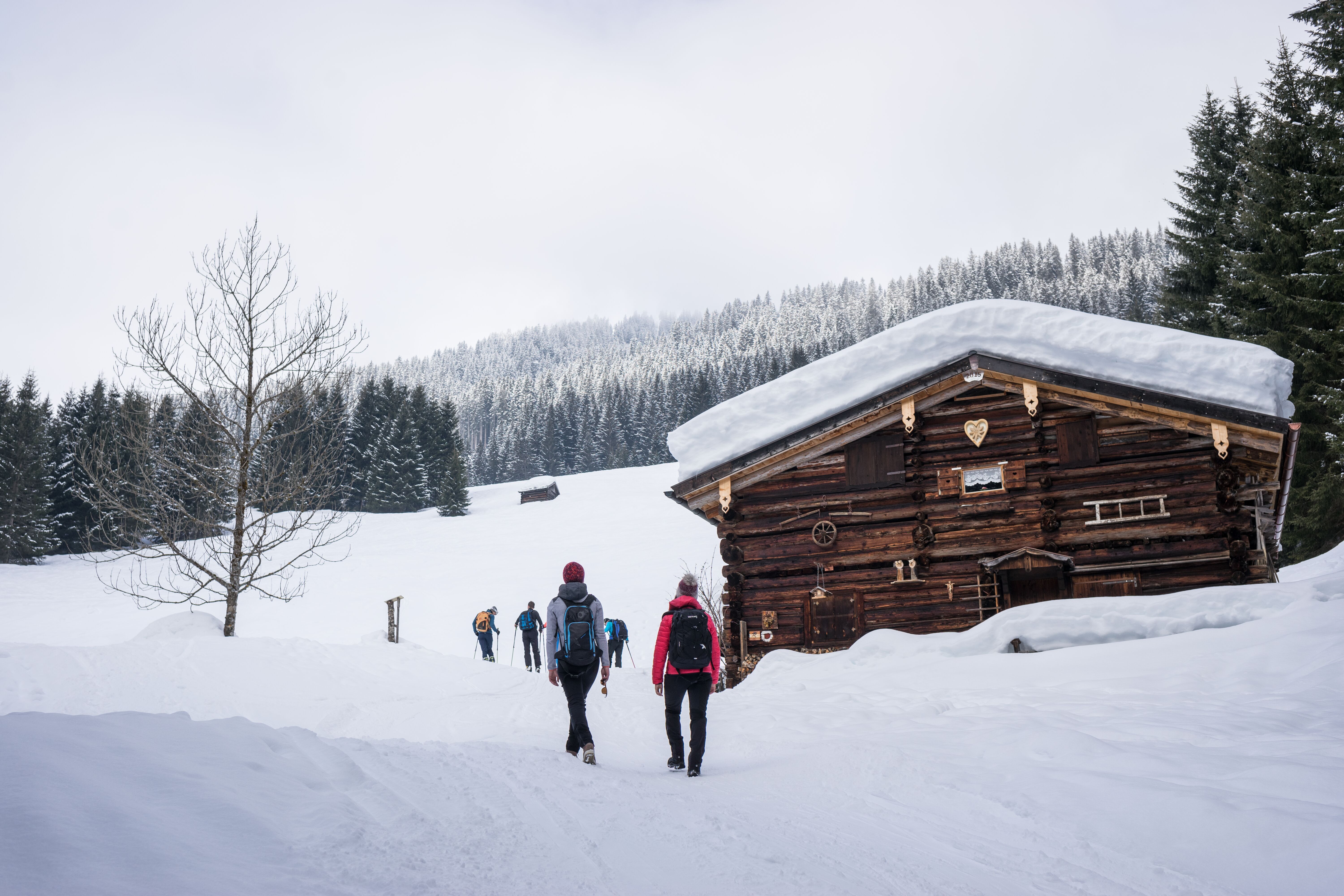 Winterwanderung zu Ehenbichler Alm