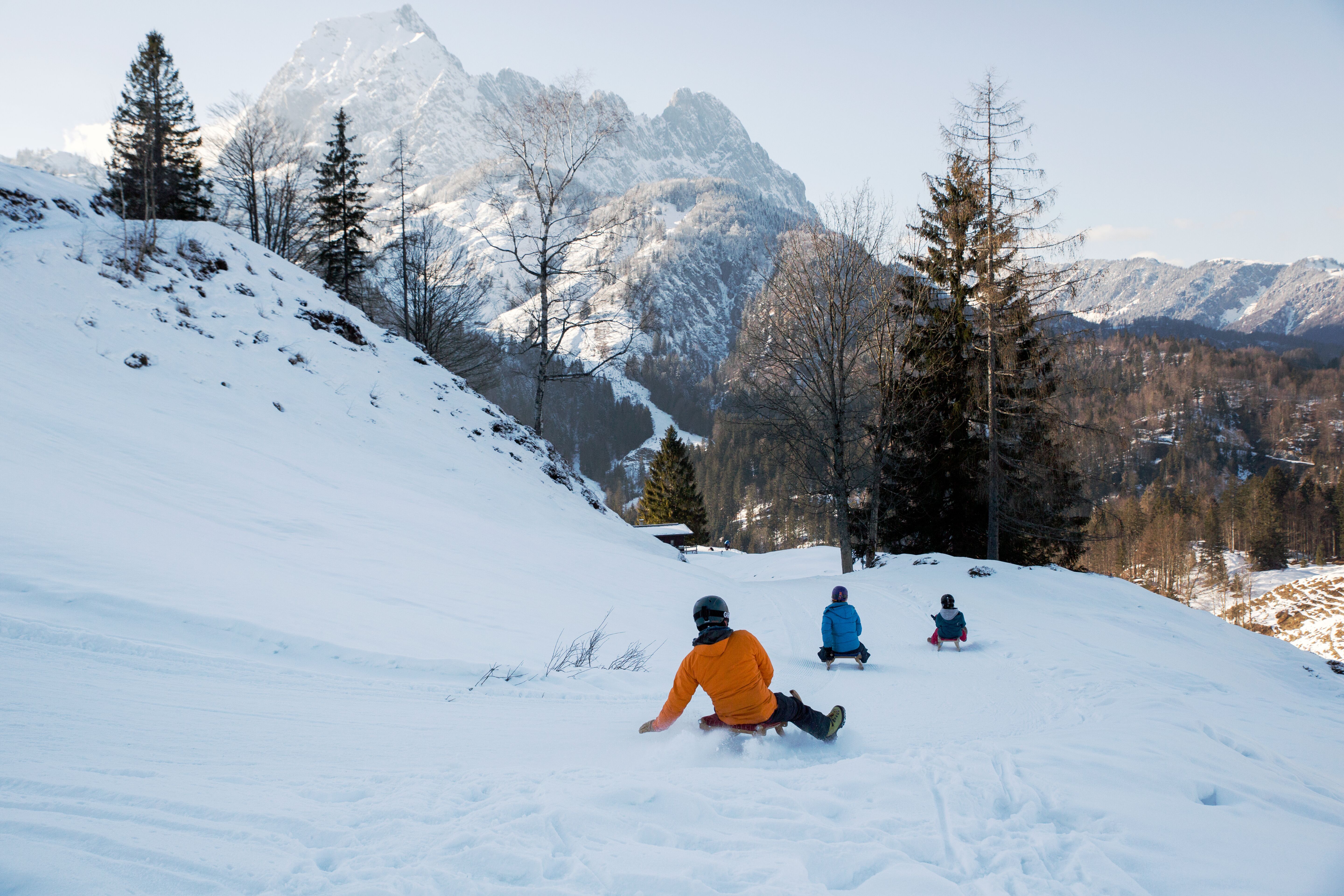 Drei Rodler machen eine Linkskurve auf der Rodelbahn. Umgeben von einer winterlichen Landschaft