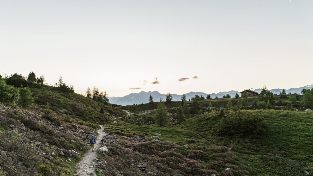 Szlak Zirbenweg. Niezwykle miejsce w sercu Alp