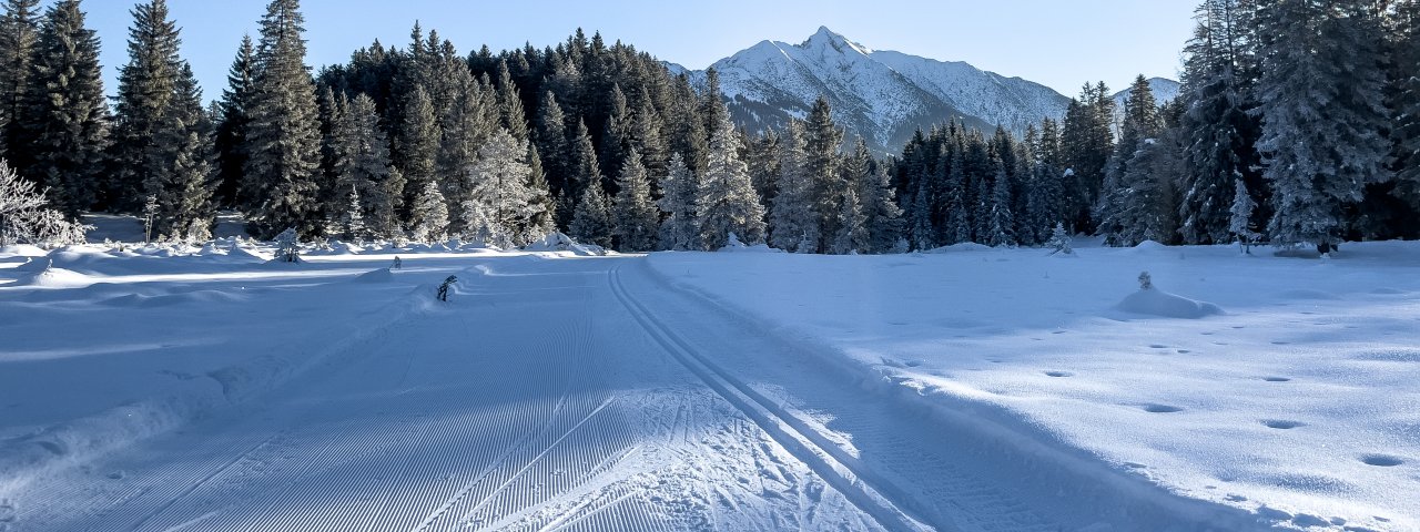 Morgenstimmung im Wildmoos auf der Loipe C", © Olympia Region Seefeld