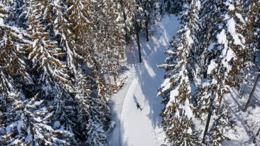 Auf der B13 Loipe vom Möserer See in Richtung Lottensee