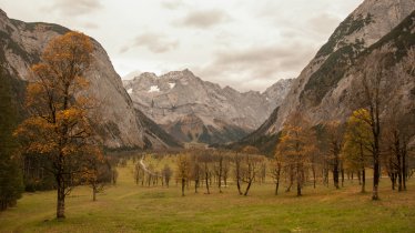 Der große Ahornboden in der Eng, © Jannis Braun