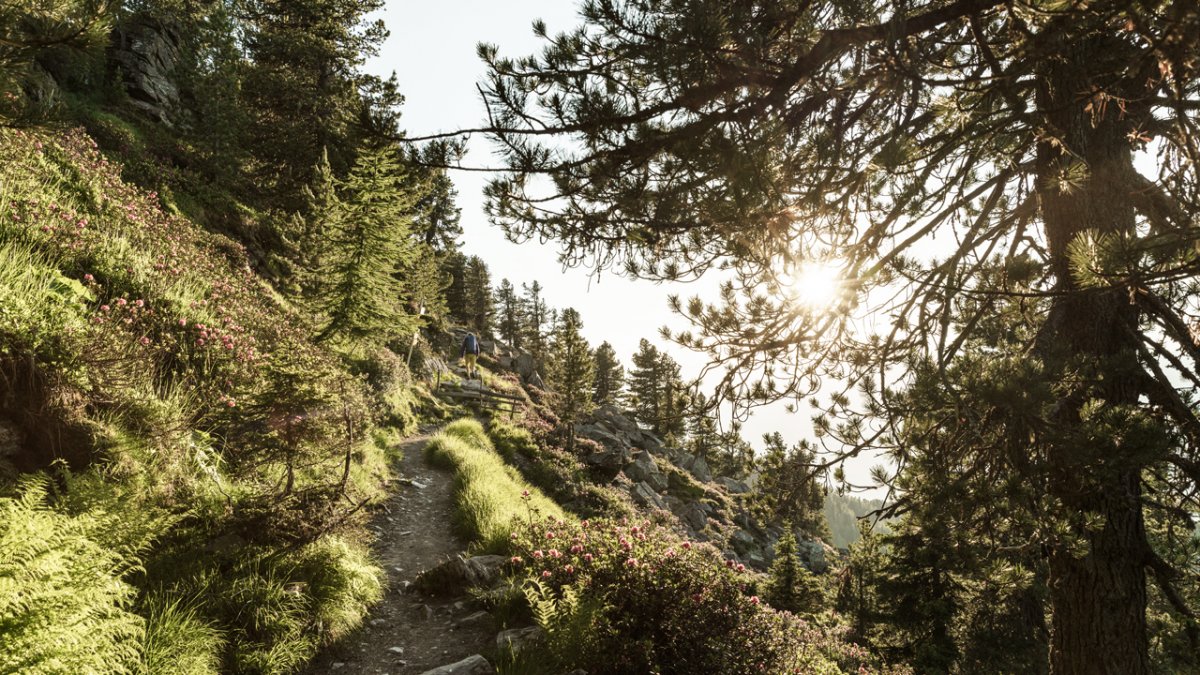 Na szlaku Zirbenweg