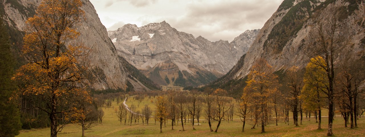 Der große Ahornboden in der Eng, © Jannis Braun