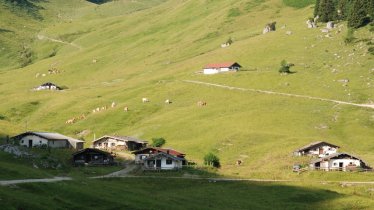 Feldalm in Walchsee, © Irene Prugger