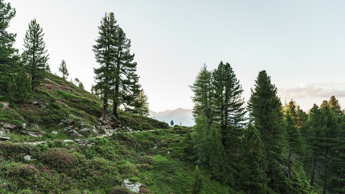 Perełki na szlaku Inntaler Höhenweg